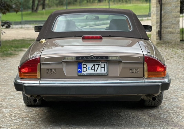 Jaguar XJS cena 65000 przebieg: 36331, rok produkcji 1990 z Augustów małe 211